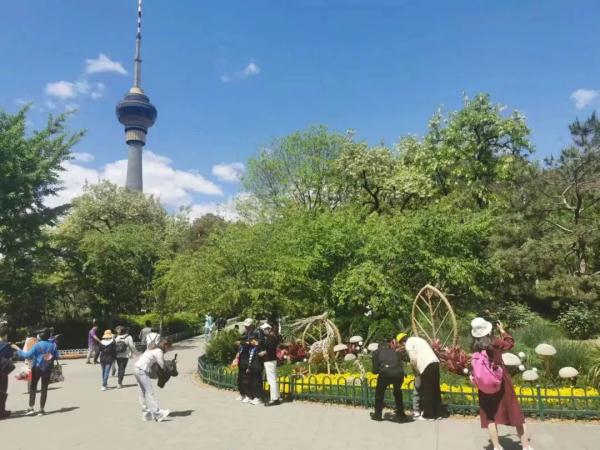 赏花、观鸟、看展……“五一”北京这些公园最受欢迎