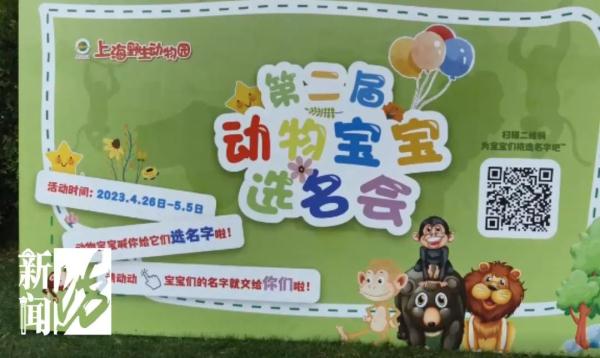 上海这个景点，很多人扑空了？友情提醒：这里不对外开放