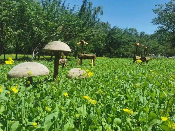 赏花、观鸟、看展……“五一”北京这些公园最受欢迎