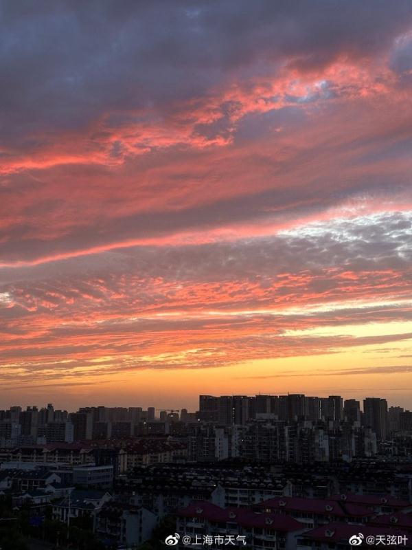 这份假期“礼物”，让今天的上海绝美！气温即将升到28℃，但雷阵雨又来…