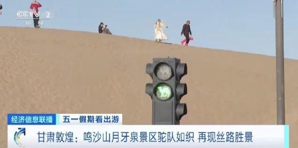 敦煌“堵骆驼”了！“红骆驼停，绿骆驼行”…...