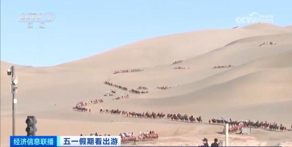 敦煌“堵骆驼”了！“红骆驼停，绿骆驼行”…...