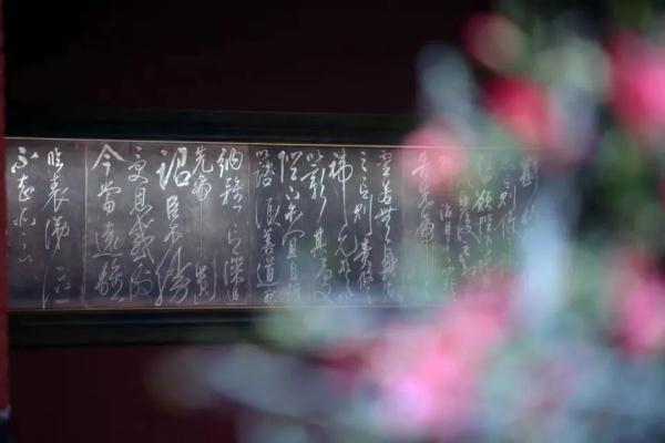 这些没票了！这些还可约→