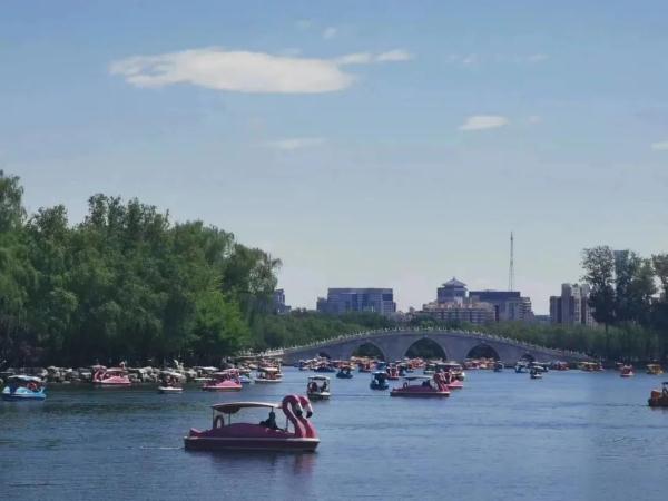 赏花、观鸟、看展……“五一”北京这些公园最受欢迎