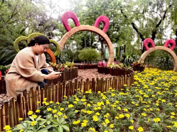 赏花、观鸟、看展……“五一”北京这些公园最受欢迎