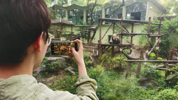 五一假期首日，他们冒雨探望“丫丫”