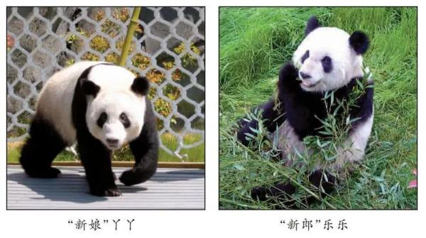 五一假期首日，他们冒雨探望“丫丫”