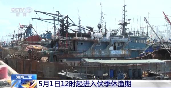 渔船陆续归港 海南三亚明日12时起进入伏季休渔期