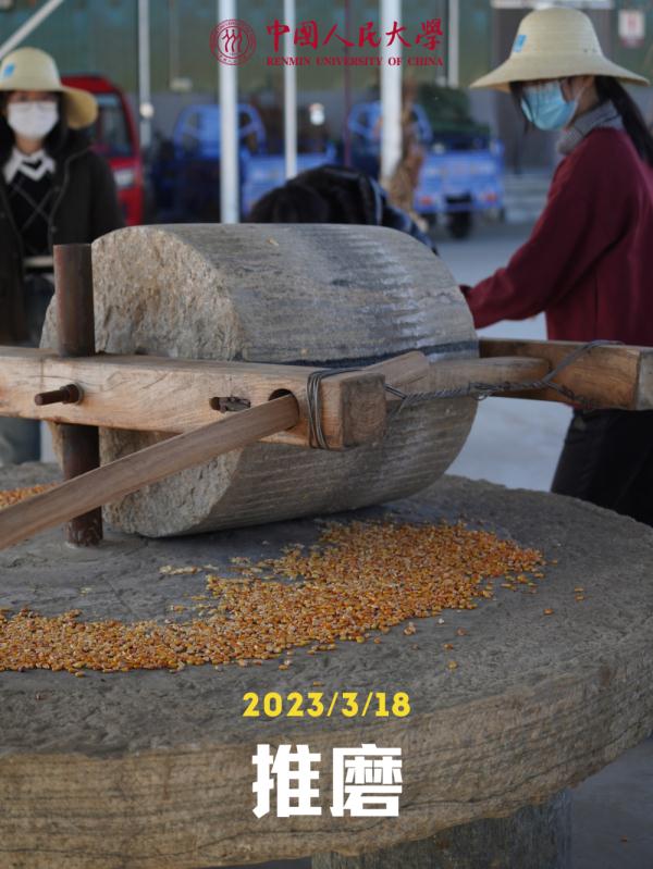他们的劳动课居然直接上综艺，我也想去！什么时候轮到我们啊