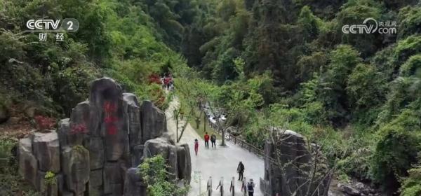 千岛湖原生态峡谷成为旅游新热点 自然生态之美让人流连忘返 千岛湖原生态峡谷成为旅游新热点 自然生态之美让人流连忘返