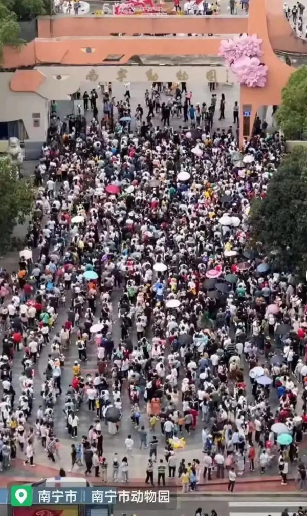人从众!南宁各大景区客流量暴涨,建议你错峰出行 人从众!南宁各大景区客流量暴涨,建议你错峰出行