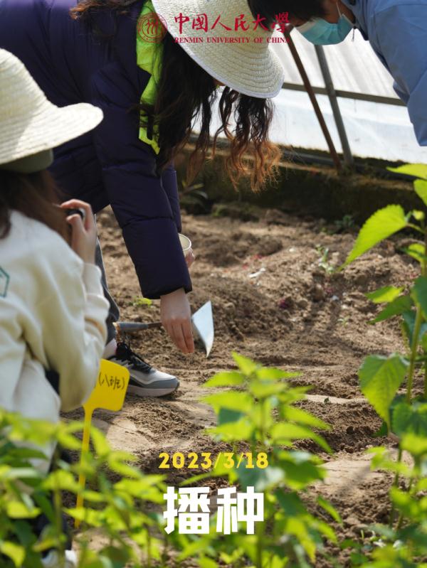 他们的劳动课居然直接上综艺，我也想去！什么时候轮到我们啊