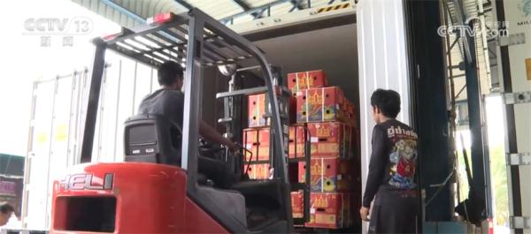 更加新鲜、口感更好 中老铁路为泰国榴莲出口中国带来便利 更加新鲜、口感更好 中老铁路为泰国榴莲出口中国带来便利
