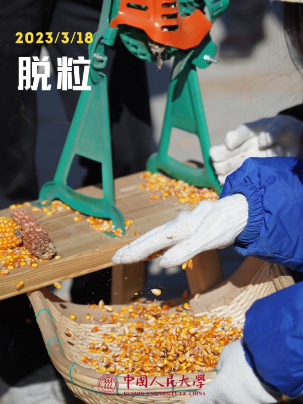 他们的劳动课居然直接上综艺，我也想去！什么时候轮到我们啊