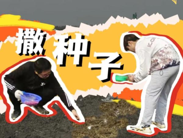 他们的劳动课居然直接上综艺，我也想去！什么时候轮到我们啊