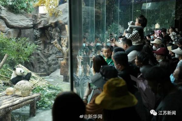 人从众的网红景点你在哪排队？这里有返程最新提醒→