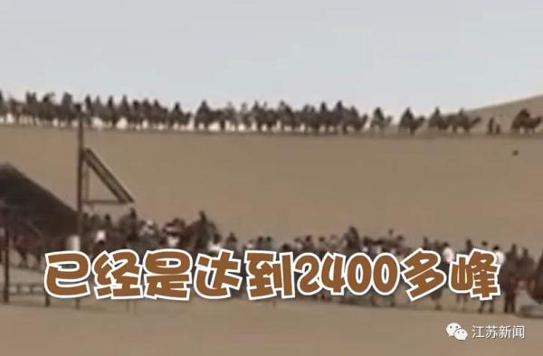 人从众的网红景点你在哪排队？这里有返程最新提醒→