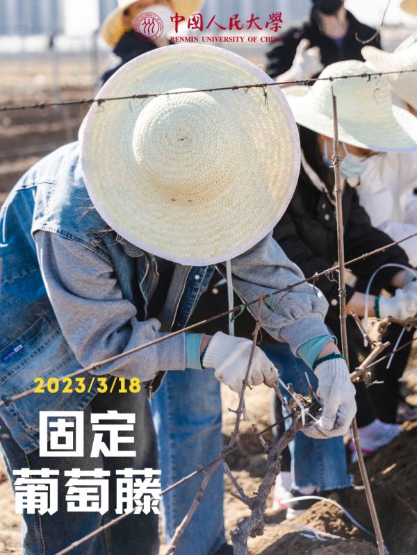 他们的劳动课居然直接上综艺，我也想去！什么时候轮到我们啊