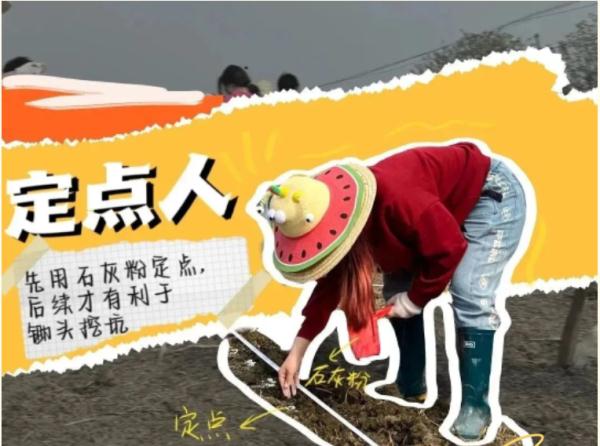 他们的劳动课居然直接上综艺，我也想去！什么时候轮到我们啊