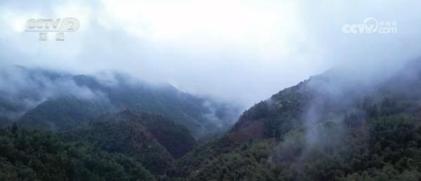 千岛湖原生态峡谷成为旅游新热点 自然生态之美让人流连忘返 千岛湖原生态峡谷成为旅游新热点 自然生态之美让人流连忘返