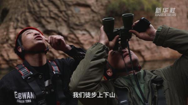 太行崖壁清危工