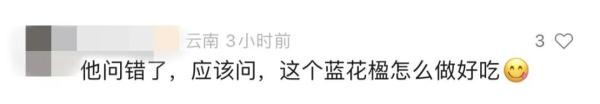 “蓝花楹能吃吗？” 网友发出一个很云南的灵魂拷问……