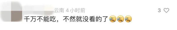 “蓝花楹能吃吗？” 网友发出一个很云南的灵魂拷问……