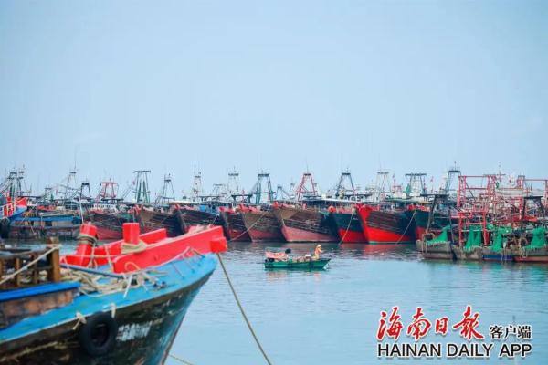 海南休渔期今日开启，将持续至8月16日