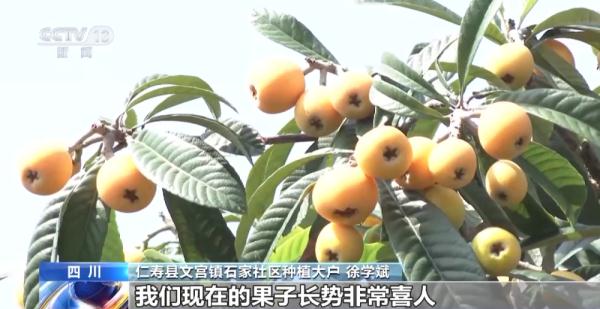 抢“鲜”上市！多地水果喜获丰收