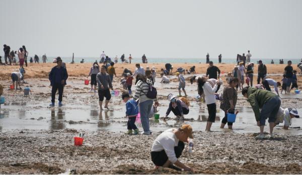 山东日照:“五一”假期 游客享受“赶海”乐趣 山东日照:“五一”假期 游客享受“赶海”乐趣