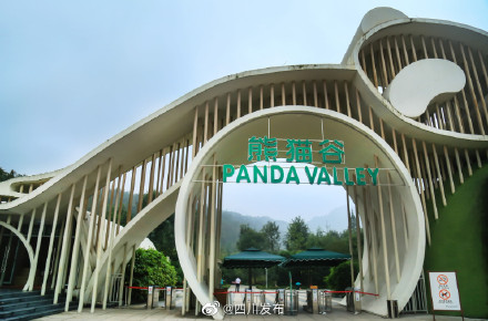 都江堰熊猫谷今天线上门票已约满