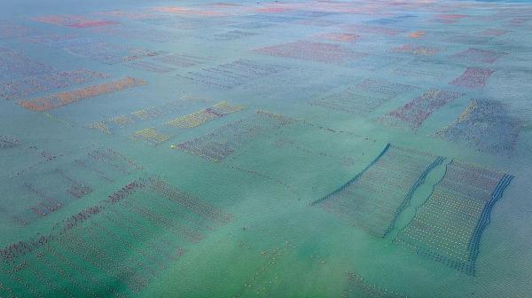 休渔期到了，还有“海鲜自由”吗？