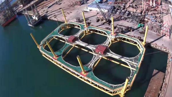 休渔期到了，还有“海鲜自由”吗？