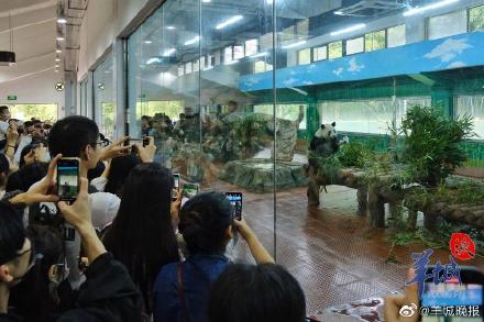 广州动物园：这些时段为入园高峰期，将视情况启动临时管控