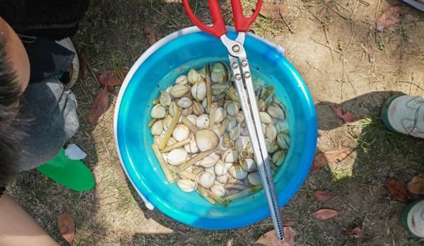 山东日照:“五一”假期 游客享受“赶海”乐趣 山东日照:“五一”假期 游客享受“赶海”乐趣