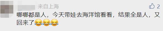 凌晨4点就排队!沪一景区紧急通知!野生动物园一幕引关注,游客:"赶紧走"