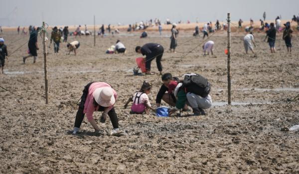山东日照:“五一”假期 游客享受“赶海”乐趣 山东日照:“五一”假期 游客享受“赶海”乐趣