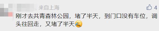 凌晨4点就排队!沪一景区紧急通知!野生动物园一幕引关注,游客:"赶紧走"