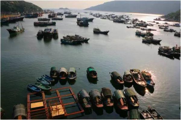 休渔期到了，还有“海鲜自由”吗？