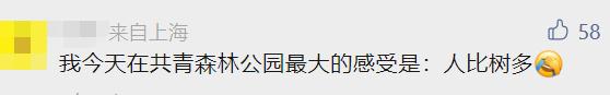 凌晨4点就排队!沪一景区紧急通知!野生动物园一幕引关注,游客:"赶紧走"