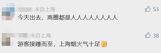 凌晨4点就排队!沪一景区紧急通知!野生动物园一幕引关注,游客:"赶紧走"