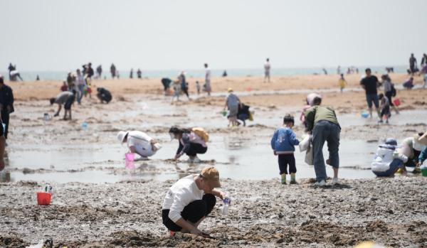 山东日照:“五一”假期 游客享受“赶海”乐趣 山东日照:“五一”假期 游客享受“赶海”乐趣