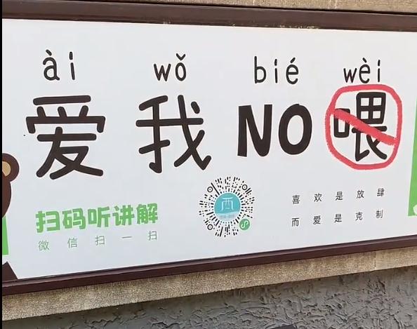 游客给熊投喂蛋筒冰淇淋？保安：去年有熊被乱喂生病过
