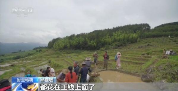 放弃城市工作回村开荒 90后女孩让乡村也有了文艺范儿 放弃城市工作回村开荒 90后女孩让乡村也有了文艺范儿