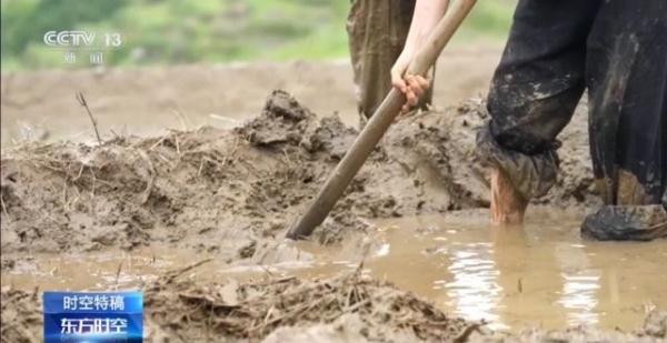 放弃城市工作回村开荒 90后女孩让乡村也有了文艺范儿 放弃城市工作回村开荒 90后女孩让乡村也有了文艺范儿