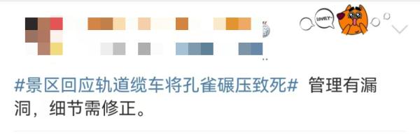 太疼了，白孔雀被缆车碾死！园方：为躲避游客拔毛飞到轨道上