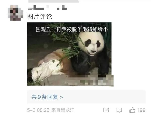 天选倒霉熊“缘小”再上热搜!网友:哈哈哈哈 天选倒霉熊“缘小”再上热搜!网友:哈哈哈哈