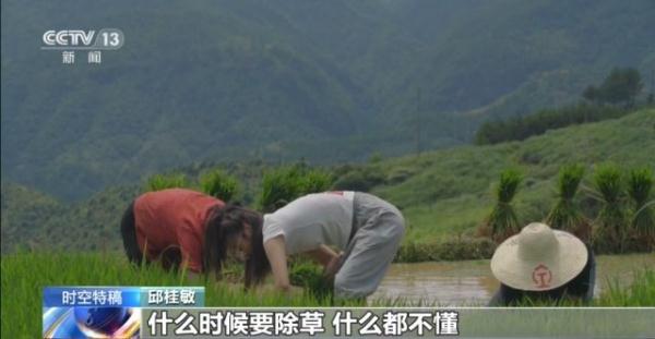 放弃城市工作回村开荒 90后女孩让乡村也有了文艺范儿 放弃城市工作回村开荒 90后女孩让乡村也有了文艺范儿