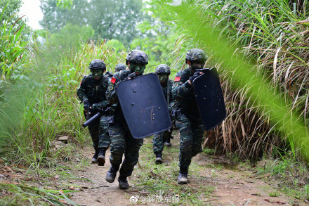 酷图直击！武警特战队员跨昼夜反恐演练