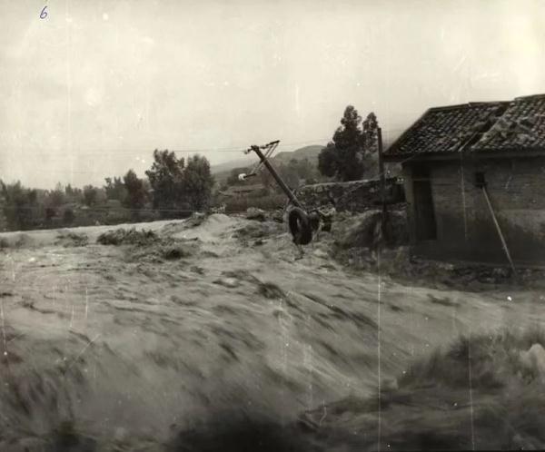 五十年后，消防老兵组团“回家”